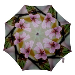 Soft Rains Of Spring Hook Handle Umbrellas (large) by FunnyCow