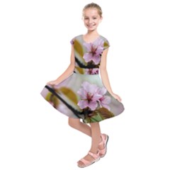 Soft Rains Of Spring Kids  Short Sleeve Dress by FunnyCow