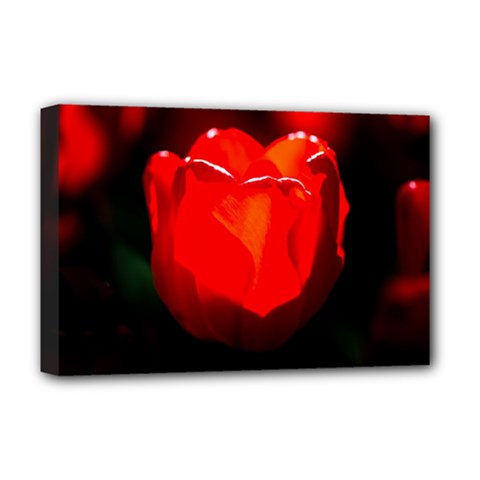 Red Tulip A Bowl Of Fire Deluxe Canvas 18  X 12  (stretched) by FunnyCow