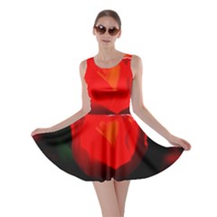 Red Tulip A Bowl Of Fire Skater Dress by FunnyCow