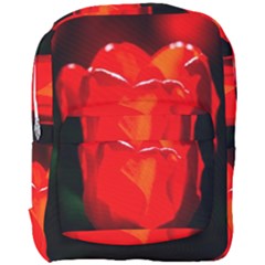 Red Tulip A Bowl Of Fire Full Print Backpack by FunnyCow