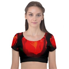 Red Tulip A Bowl Of Fire Velvet Short Sleeve Crop Top  by FunnyCow