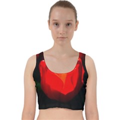 Red Tulip A Bowl Of Fire Velvet Racer Back Crop Top by FunnyCow