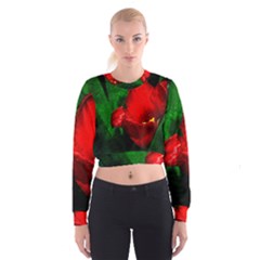 Red Tulip After The Shower Cropped Sweatshirt by FunnyCow