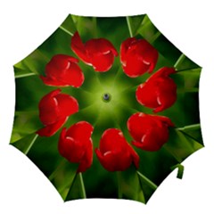 Three Red Tulips, Green Background Hook Handle Umbrellas (medium) by FunnyCow