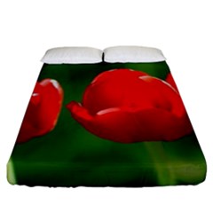 Three Red Tulips, Green Background Fitted Sheet (king Size) by FunnyCow