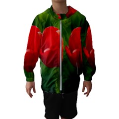 Three Red Tulips, Green Background Hooded Windbreaker (kids) by FunnyCow
