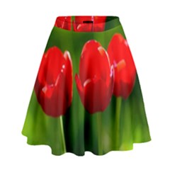 Three Red Tulips, Green Background High Waist Skirt