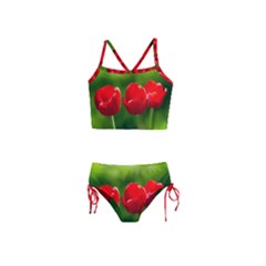 Three Red Tulips, Green Background Girls  Tankini Swimsuit by FunnyCow