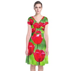 Red Tulip Flowers, Sunny Day Short Sleeve Front Wrap Dress by FunnyCow