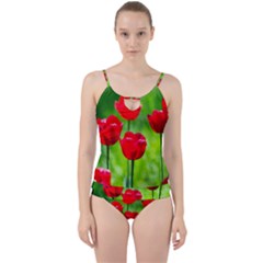 Red Tulip Flowers, Sunny Day Cut Out Top Tankini Set by FunnyCow