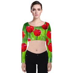 Red Tulip Flowers, Sunny Day Velvet Long Sleeve Crop Top by FunnyCow