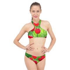 Red Tulip Flowers, Sunny Day High Neck Bikini Set by FunnyCow