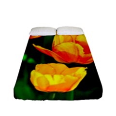 Yellow Orange Tulip Flowers Fitted Sheet (full/ Double Size)