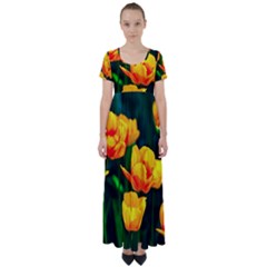 Yellow Orange Tulip Flowers High Waist Short Sleeve Maxi Dress by FunnyCow