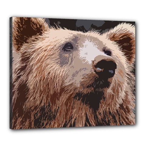 Bear Looking Canvas 24  X 20  (stretched) by snowwhitegirl
