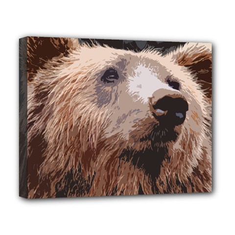 Bear Looking Deluxe Canvas 20  X 16  (stretched)