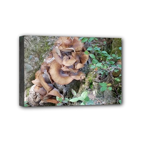 Abstract Of Mushroom Mini Canvas 6  X 4  (stretched) by canvasngiftshop