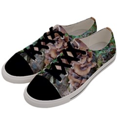 Abstract Of Mushroom Men s Low Top Canvas Sneakers by canvasngiftshop