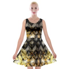 Black Zig Zag Blurred On Gold Crush Flowers By Flipstylez Designs Velvet Skater Dress by flipstylezfashionsLLC