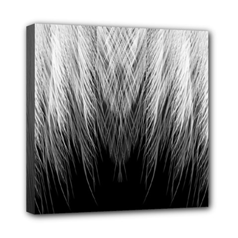 Feather Graphic Design Background Mini Canvas 8  X 8  (stretched) by Nexatart