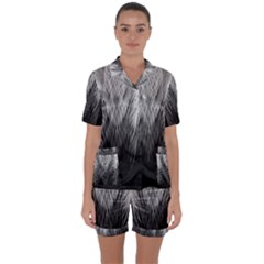 Feather Graphic Design Background Satin Short Sleeve Pyjamas Set by Nexatart