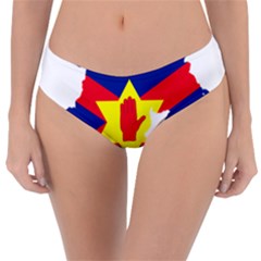 Ulster Nationalists Flag Map Of Northern Ireland Reversible Classic Bikini Bottoms by abbeyz71