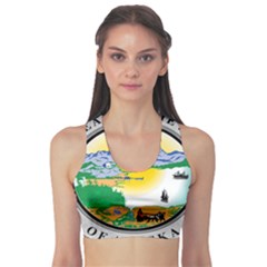 State Seal Of Alaska  Sports Bra by abbeyz71