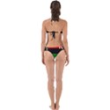 Pan-African Flag Map of United States Perfectly Cut Out Bikini Set View2