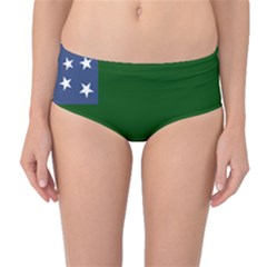 Flag Of Vermont Republic, 1777-1791 Mid-waist Bikini Bottoms by abbeyz71