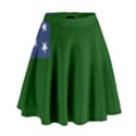 Flag of Vermont Republic, 1777-1791 High Waist Skirt View1