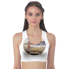 Flag Of Florida, 1868-1900 Sports Bra by abbeyz71