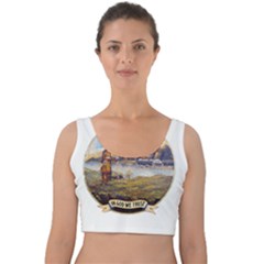 Flag Of Florida, 1868-1900 Velvet Crop Top by abbeyz71