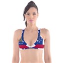 Flag Map of Georgia Plunge Bikini Top View1