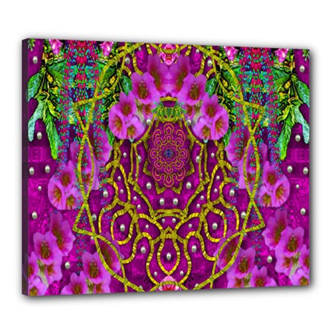 Star Of Freedom Ornate Rainfall In The Tropical Rainforest Canvas 24  X 20  (stretched) by pepitasart