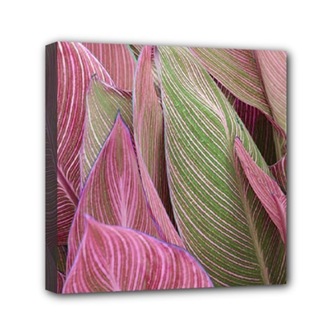 Pink Leaves Mini Canvas 6  X 6  (stretched)