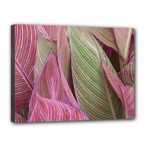 Pink Leaves Canvas 16  X 12  (stretched) by snowwhitegirl