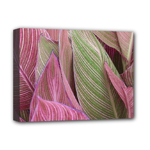 Pink Leaves Deluxe Canvas 16  X 12  (stretched) 