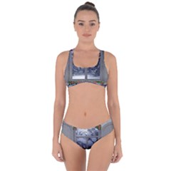 Winter 1660924 1920 Criss Cross Bikini Set by vintage2030