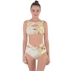 Background 1659622 1920 Bandaged Up Bikini Set  by vintage2030