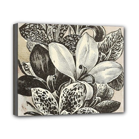 Flowers 1776382 1280 Canvas 10  X 8  (stretched) by vintage2030