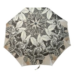 Flowers 1776382 1280 Folding Umbrellas by vintage2030