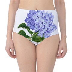 Flower 1775377 1280 Classic High-waist Bikini Bottoms