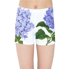 Flower 1775377 1280 Kids Sports Shorts by vintage2030