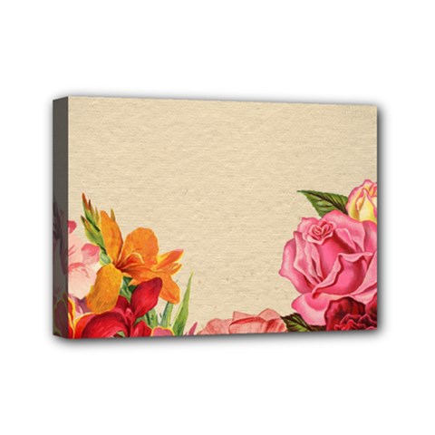 Flower 1646035 1920 Mini Canvas 7  X 5  (stretched) by vintage2030