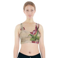 Tulip 1229027 1920 Sports Bra With Pocket by vintage2030