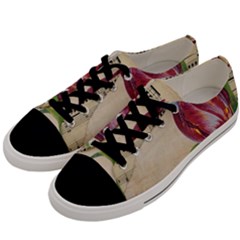 Tulip 1229027 1920 Men s Low Top Canvas Sneakers by vintage2030