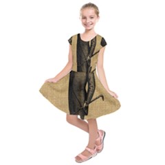 Vintage 1060202 1920 Kids  Short Sleeve Dress by vintage2030
