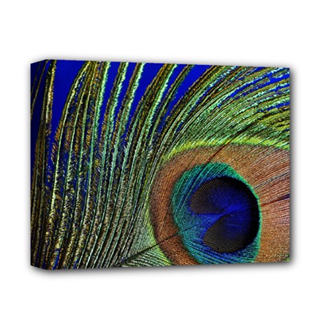 Peacock Feather Macro Peacock Bird Deluxe Canvas 14  X 11  (stretched) by Simbadda