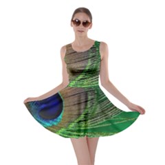 Peacock Feather Macro Peacock Bird Skater Dress by Simbadda